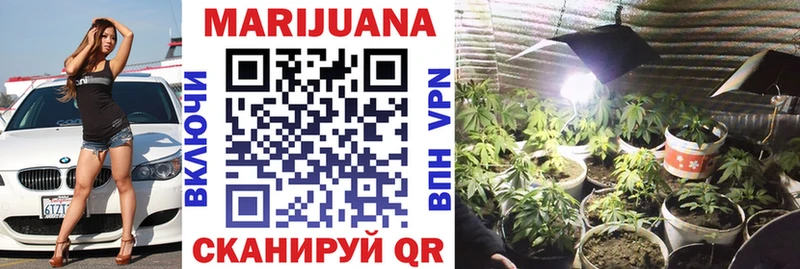 Конопля Bruce Banner  Купить  Нолинск 